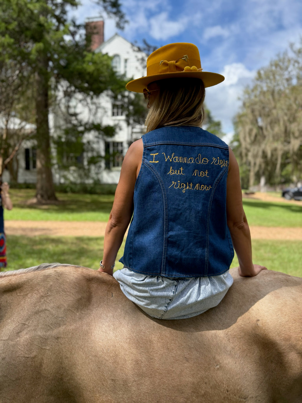 Gillian Welch Jazz Fest Vest