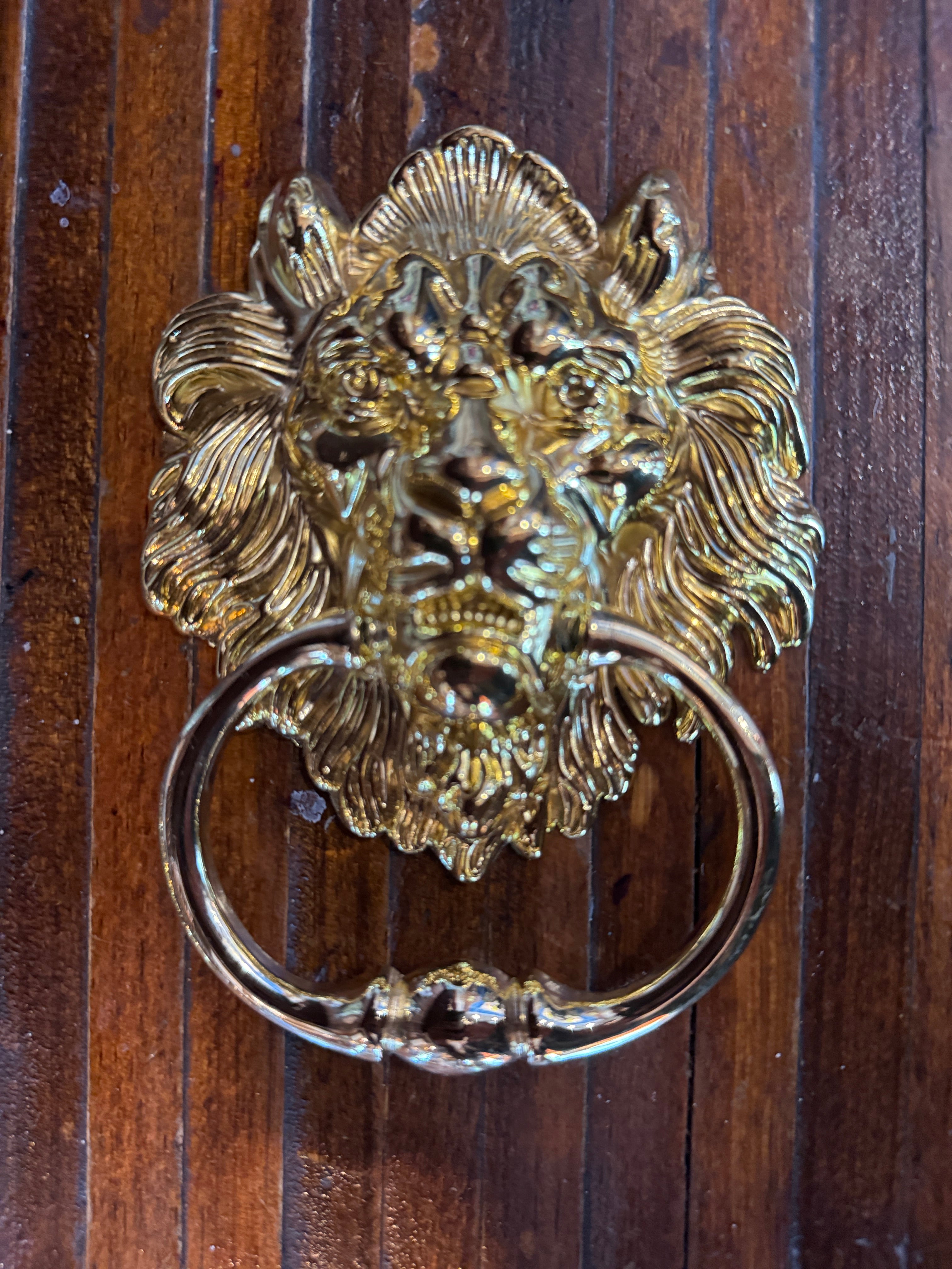 Polished Brass Lion Head Ring Pull / Knocker