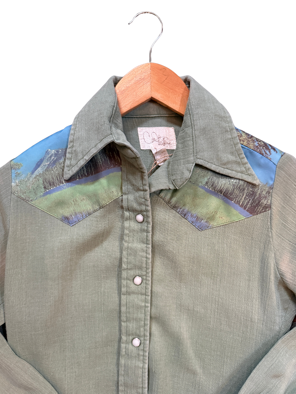 Vintage Brokeback Mountain Chainstitched Pearl Snap