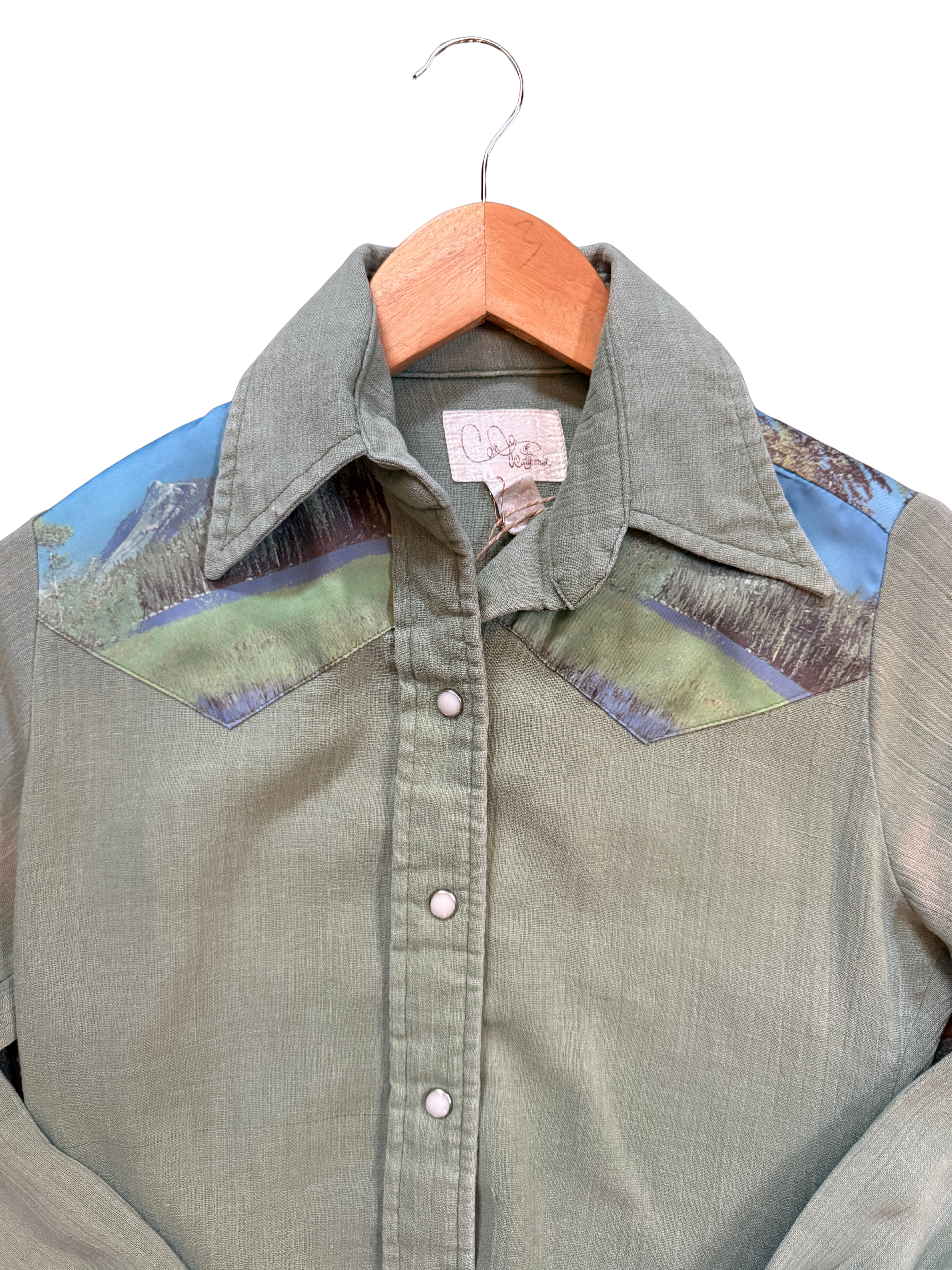 Vintage Brokeback Mountain Chainstitched Pearl Snap