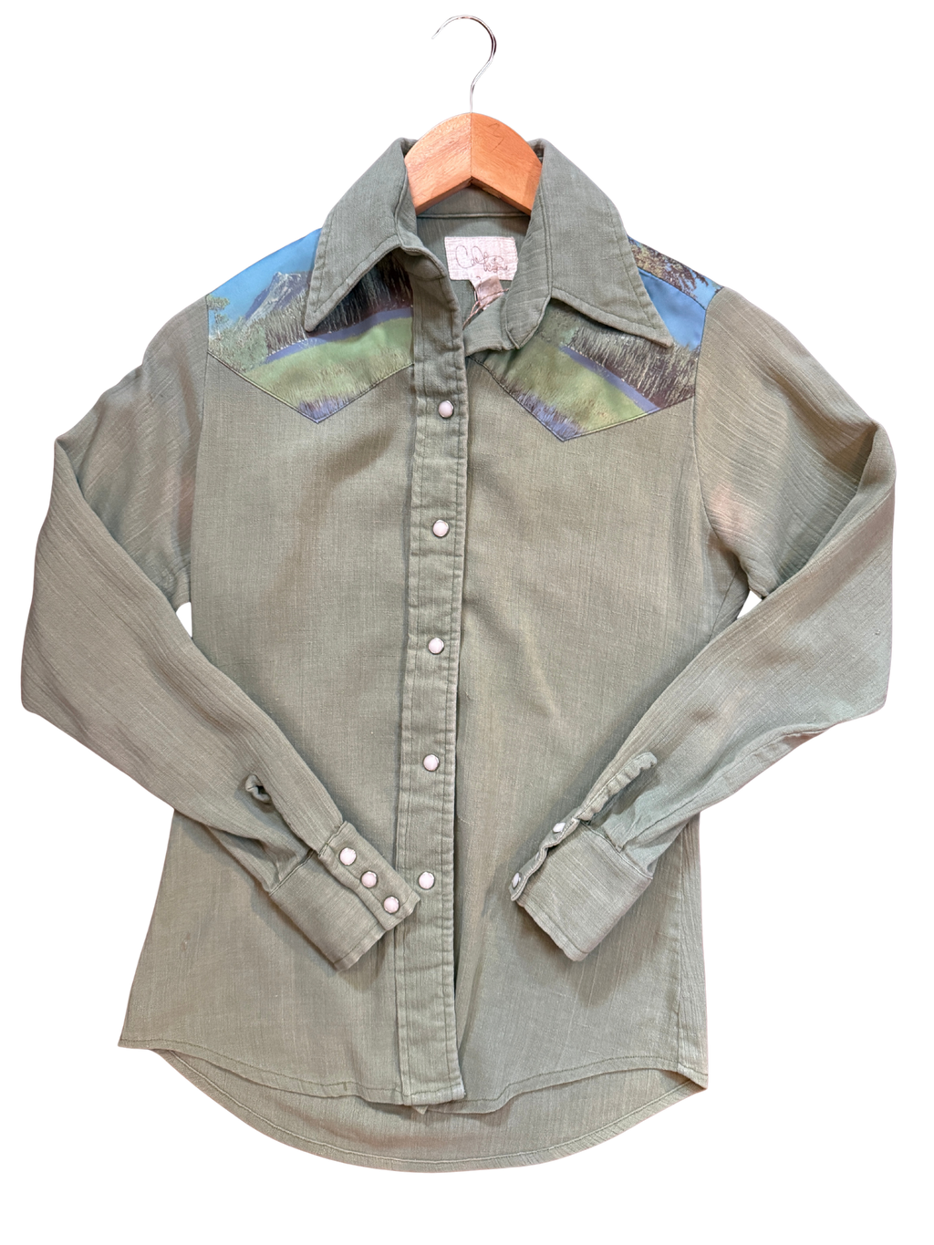 Vintage Brokeback Mountain Chainstitched Pearl Snap