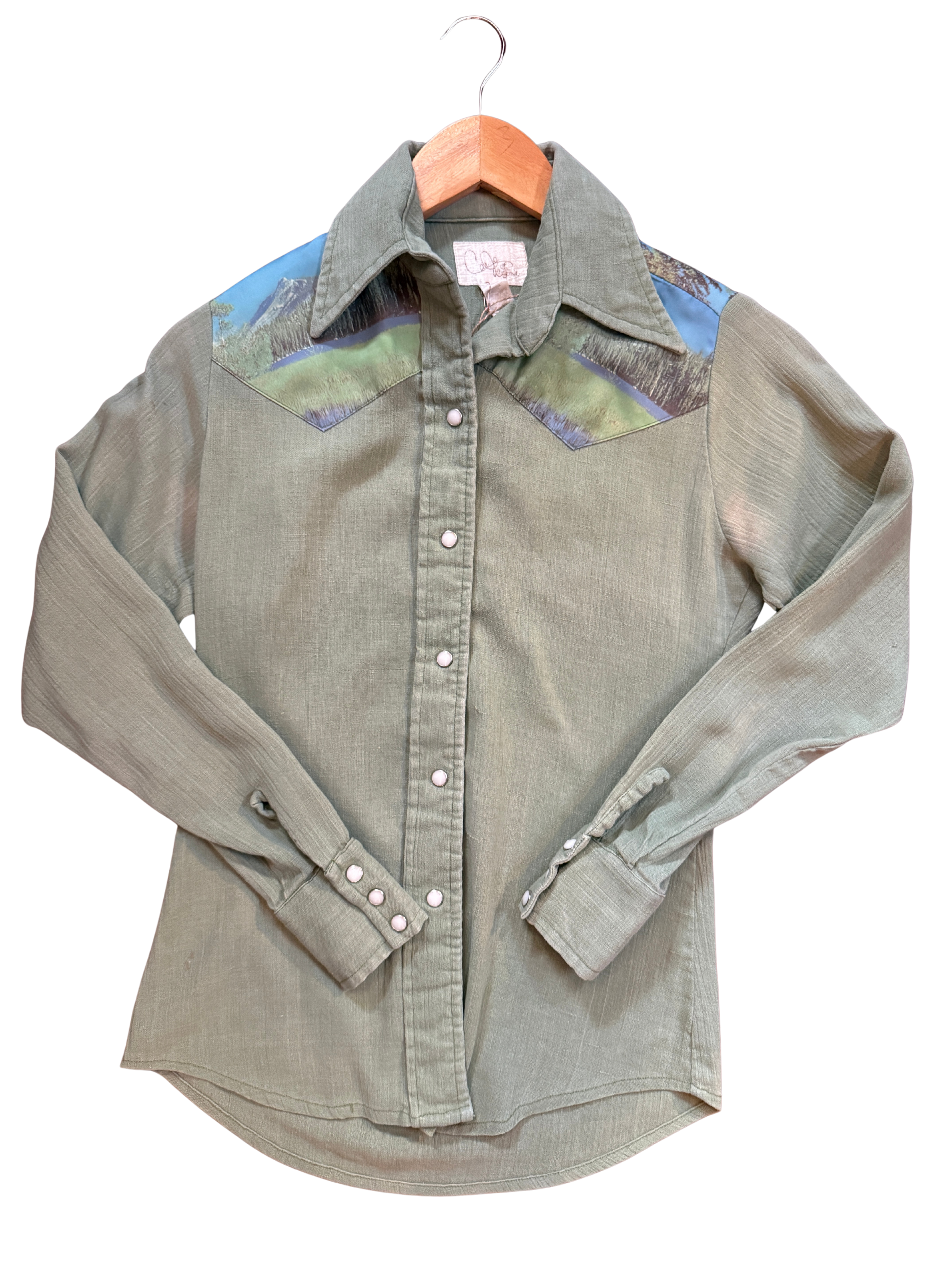 Vintage Brokeback Mountain Chainstitched Pearl Snap