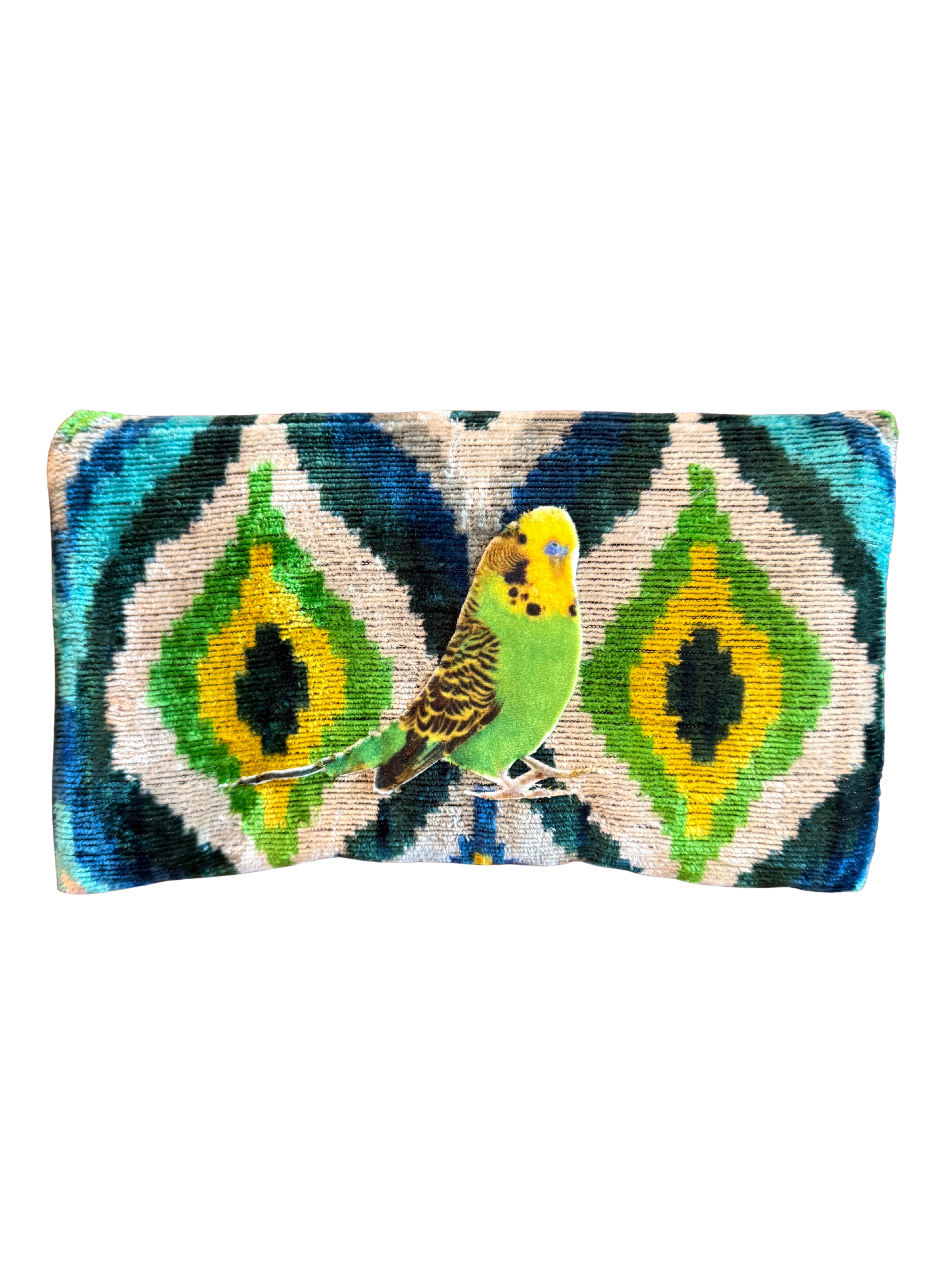 Parakeet Silk Clutch + Ellen Macomber